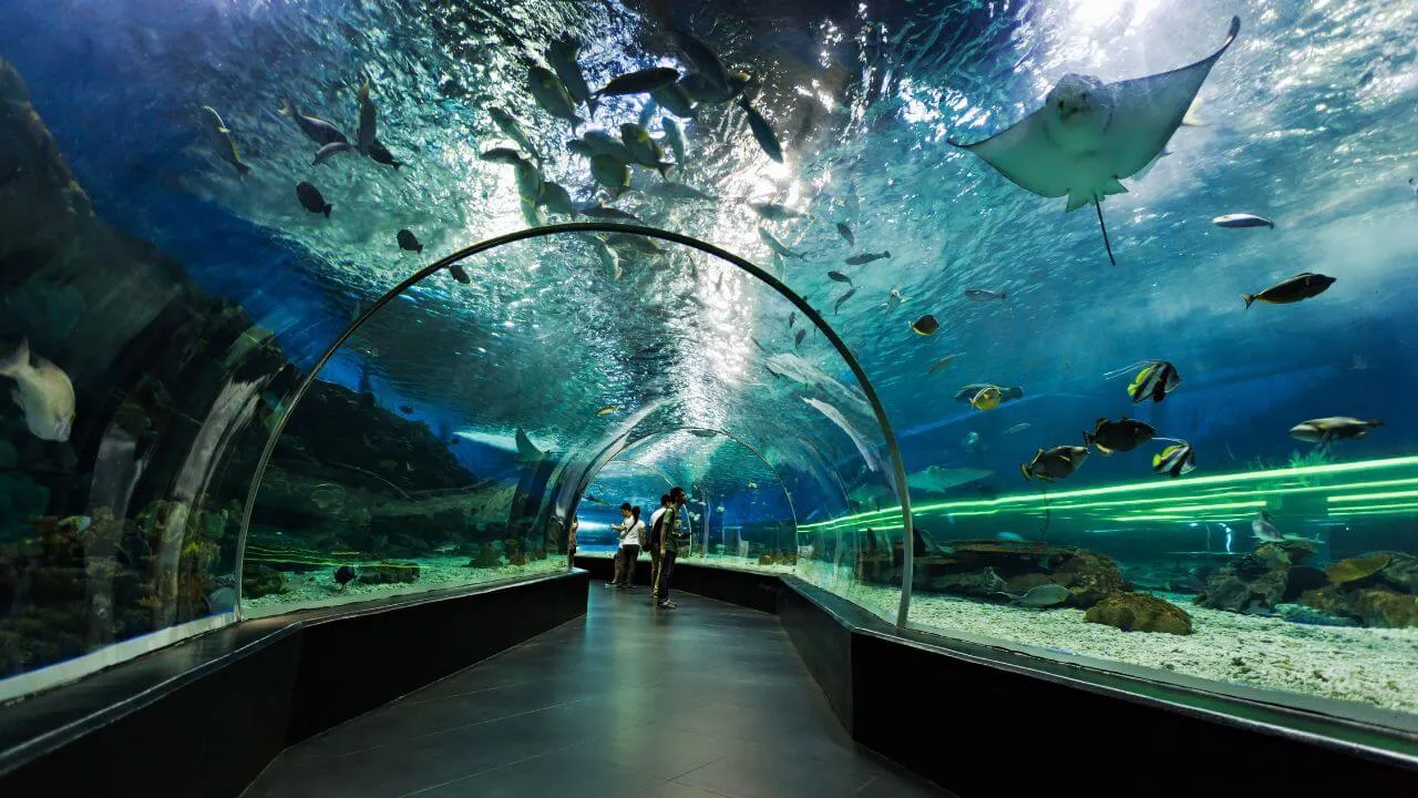 Aquarium Tunnel Dubai pictures