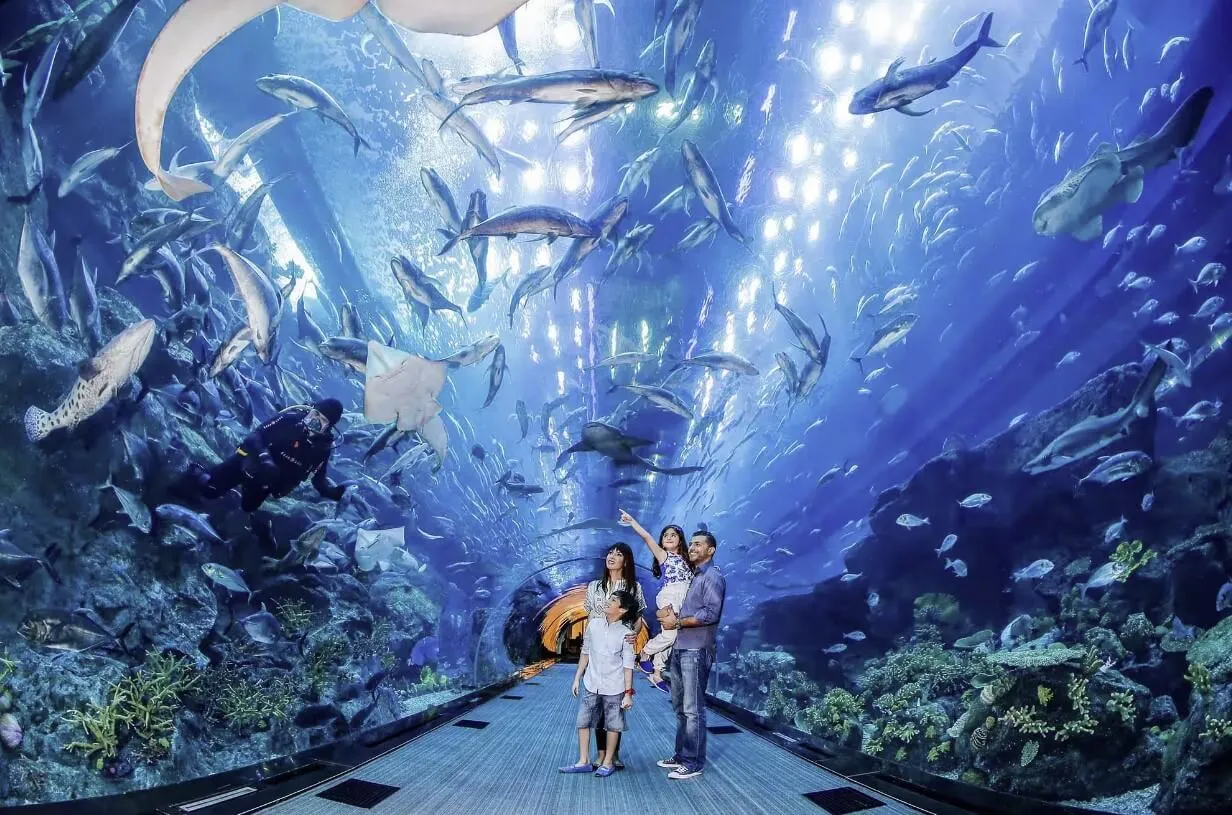 Dubai Aquarium Underwater Zoo  picture