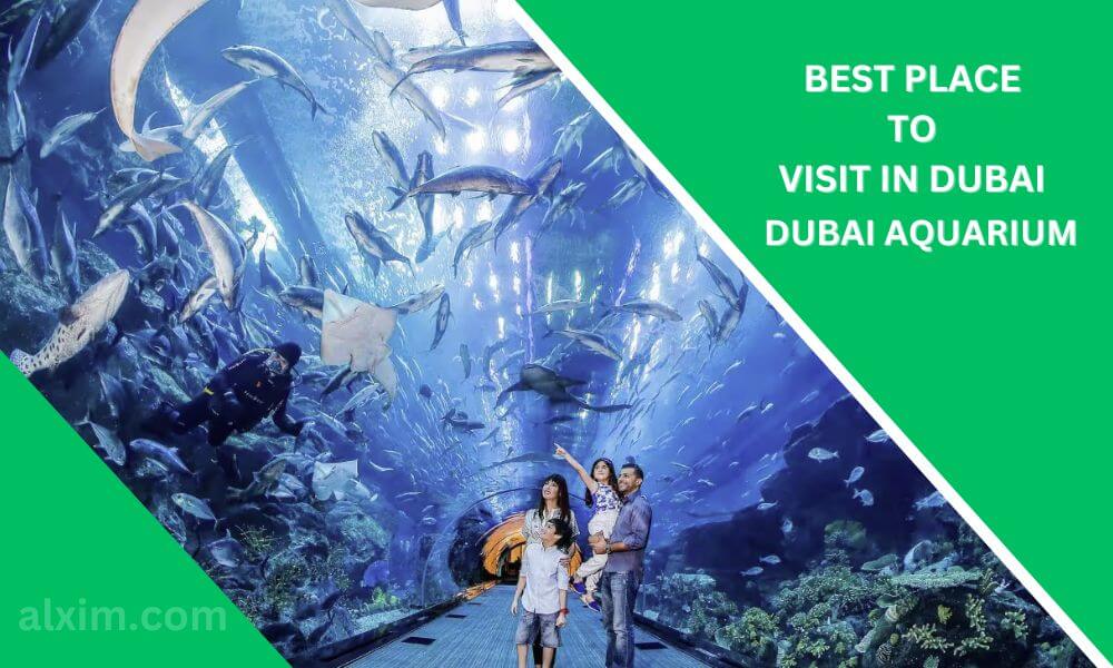 Dubai Aquarium visite